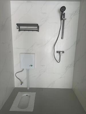 Custom SMC Bathroom Accessories OEM ODM SMC bathroom components SMC integrated bathroom
