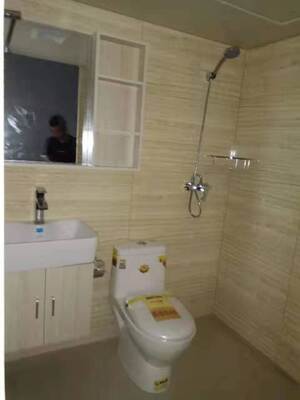 Set da parete per bagno in SMC impermeabile Pannello da parete per bagno stampato in SMC integrato